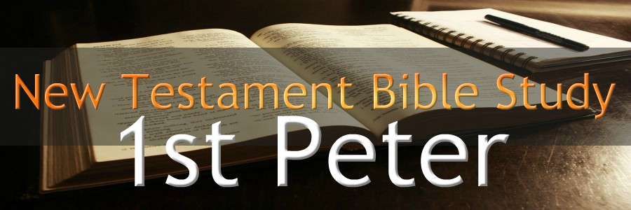 1st Peter NEW TESTAMENT BIBLE STUDY BANNER 300X900