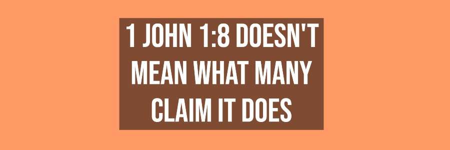 1 John 1:8