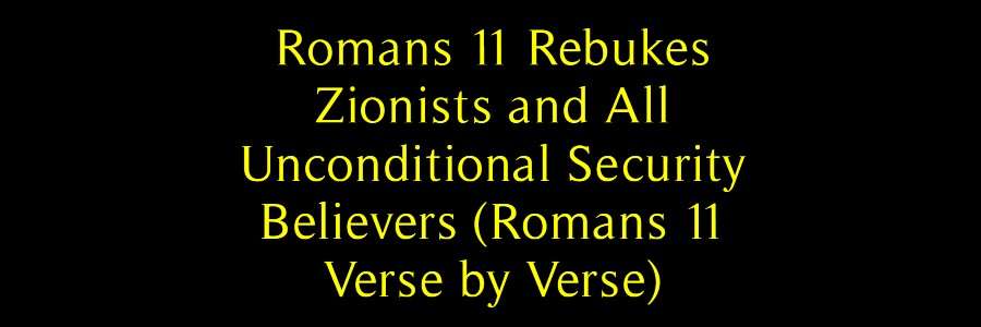 romans 11